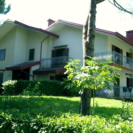 Villa Flamicia 1P Линяно Сабиадоро Екстериор снимка